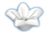 Playmobil - 30252810 - Star flower