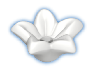 Playmobil - 30252810 - Star flower