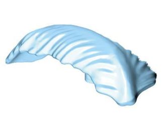 Playmobil - 30253803 - Tricorn II feather