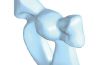 Playmobil - 30256510 - Strauss bow