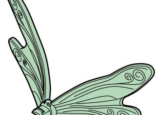 Playmobil - 30257672 - Fairy Libelle wings