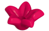 Playmobil - 30258710 - Star flower