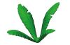 Playmobil - 30263040 - Curved palm frond II