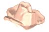 Playmobil - 30277840 - Rose blossom half open