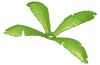 Playmobil - 30289520 - Palm frond hängend II
