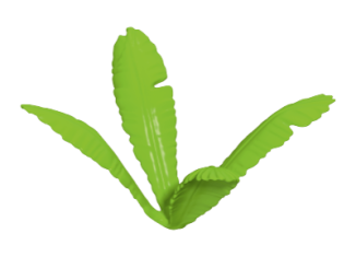 Playmobil - 30289530 - Curved palm frond II