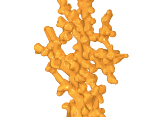 Playmobil - 30295590 - Coral