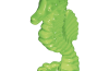 Playmobil - 30297150 - Seahorse