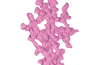 Playmobil - 30297230 - Coral