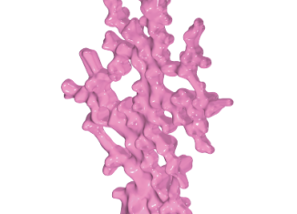 Playmobil - 30297230 - Coral