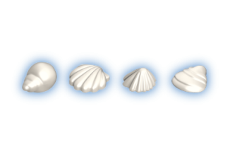 Playmobil - 30511313 - Shells