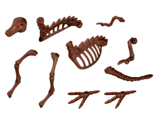 Playmobil - 30511803 - Dinosaur skeleton II