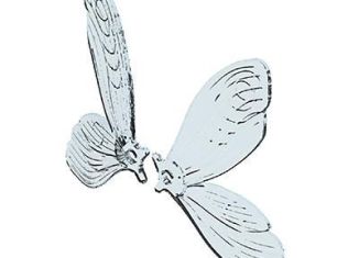 Playmobil - 30511842 - Fairy 2tlg. wings