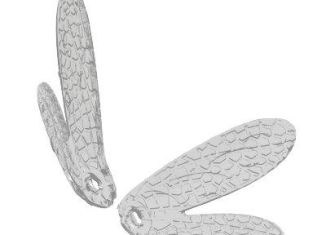 Playmobil - 30514272 - Fairy Libelle 2T wings