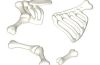 Playmobil - 30516150 - Boneset 4 Teilig