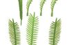Playmobil - 30616430 - Dwarf palm foliage