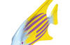 Playmobil - 30621486 - Spade fish
