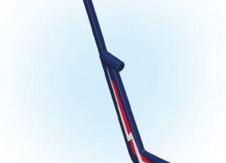 Playmobil - 30622855 - Ice hockey 14 stick