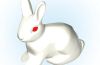 Playmobil - 30626103 - Rabbit 2010 sitting