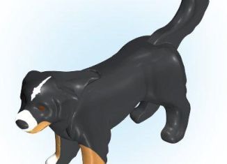 Playmobil - 30629102 - Newfoundland dog
