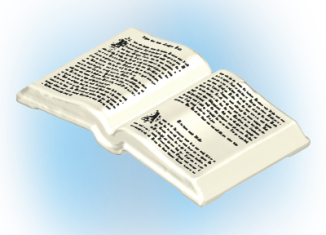Playmobil - 30630025 - Book