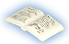 Playmobil - 30634266 - Book