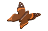Playmobil - 30634346 - Butterfly