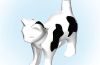 Playmobil - 30635220 - Cat standing