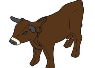 Playmobil - 30643263 - Cow II/1999