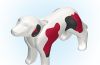 Playmobil - 30645060 - Hunting dog