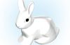 Playmobil - 30646493 - Rabbit 2010 sitting
