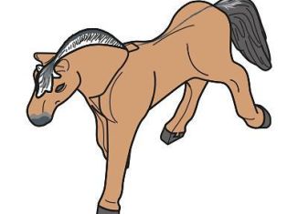 Playmobil - 30647723 - Fjord horse horse A