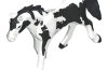 Playmobil - 30648123 - Tinker horse A