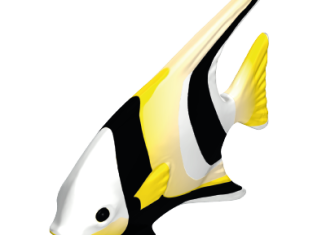 Playmobil - 30648500 - Spade fish