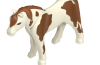 Playmobil - 30648624 - Pony 11