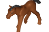Playmobil - 30650043 - Foal 2011
