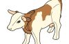 Playmobil - 30651583 - Cow II/1999