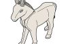 Playmobil - 30652052 - Donkey 05
