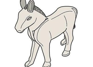 Playmobil - 30652052 - Donkey 05