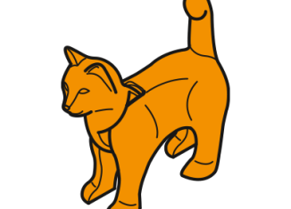 Playmobil - 30657470 - Cat standing