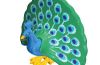 Playmobil - 30660753 - Peacock with wheel