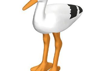 Playmobil - 30661050 - Standing stork