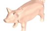 Playmobil - 30661200 - Sow II
