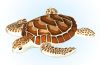 Playmobil - 30662983 - Sea turtle