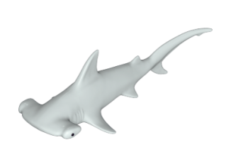 Playmobil - 30663952 - Hammerhead shark II