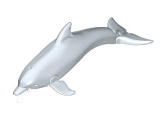 Playmobil - 30666010 - Dolphin with hole