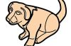 Playmobil - 30666450 - Sitting puppy