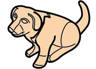 Playmobil - 30666450 - Sitting puppy