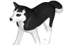 Playmobil - 30666673 - Husky