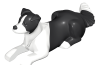 Playmobil - 30667422 - Border Collie lying
